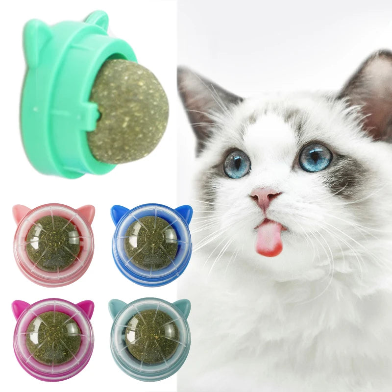 Healthy Cat Catnip Toys Ball: Natural, Interactive, Dental Health & Fun  petlums.com   