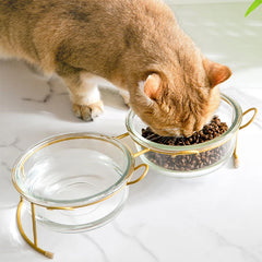 Elevated Glass Cat Bowls with Stand: Stylish Feeding Solution