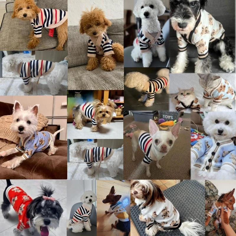 Chic Striped Winter Pet Sweater: Stylish & Cozy Knitted Cardigan for Dogs & Cats  petlums.com   