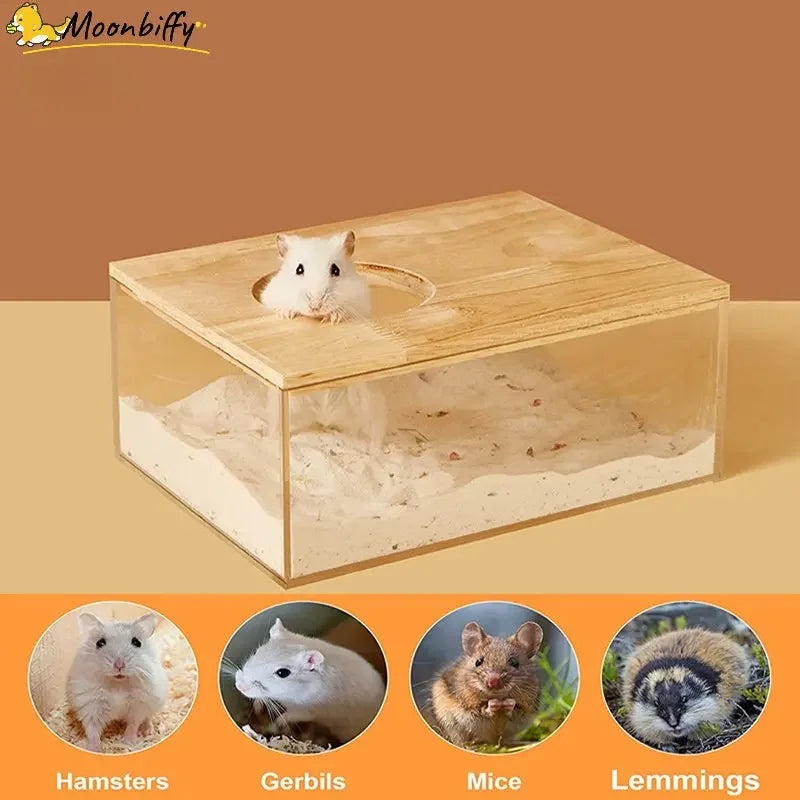 Hamster Transparent Sand Bath Container for Small Pets  petlums.com   