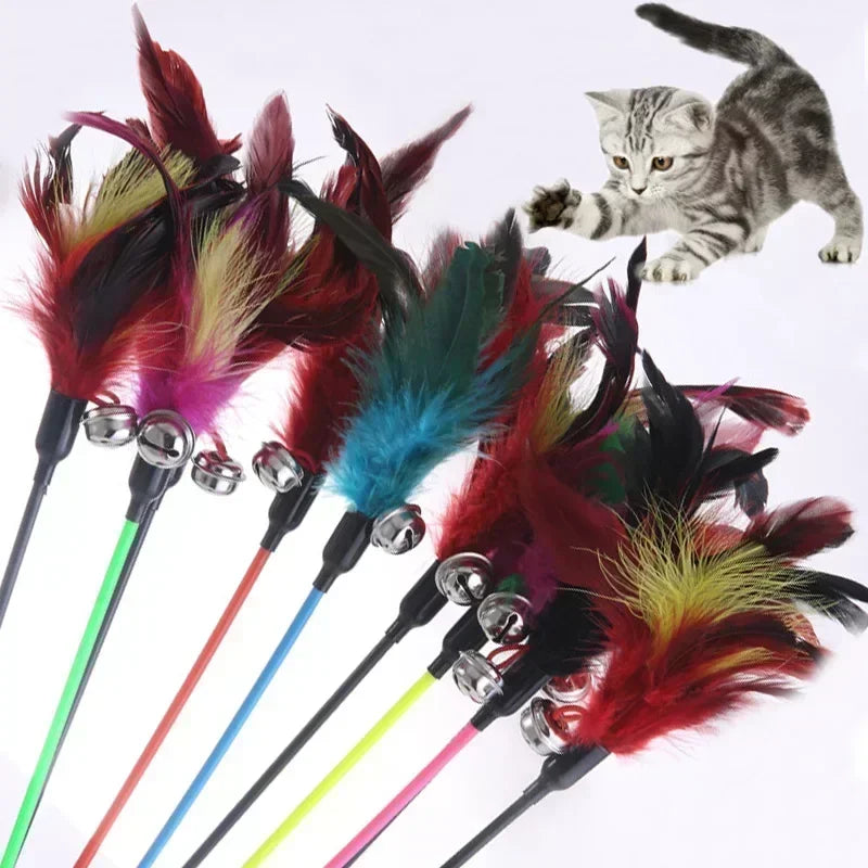 Feather Stick Interactive Cat Toy: Engage, Train, Entertain Cats  petlums.com   