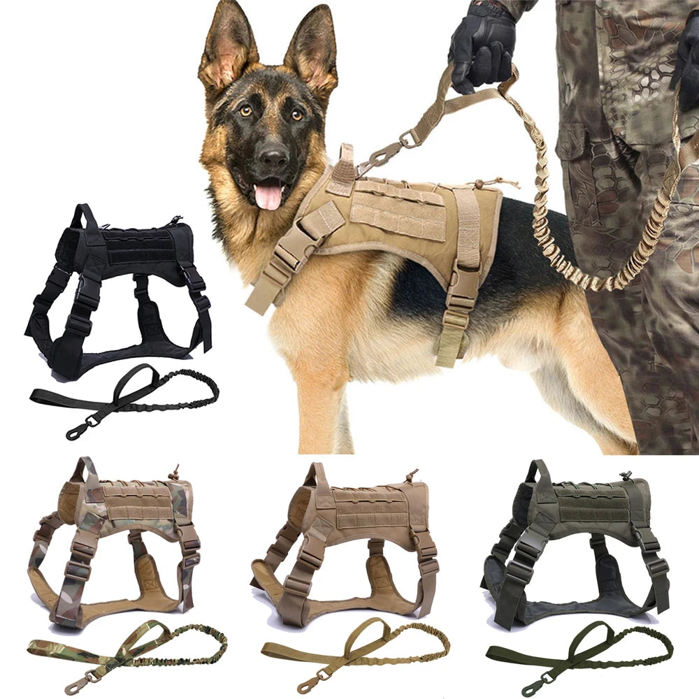 Tactical Dog Harness with Leash Set for Dogs: Premium Training & Walking Gear  petlums.com   