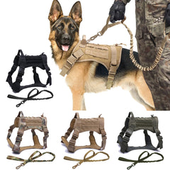 Tactical Dog Harness with Leash Set for Dogs: Premium Training & Walking Gear