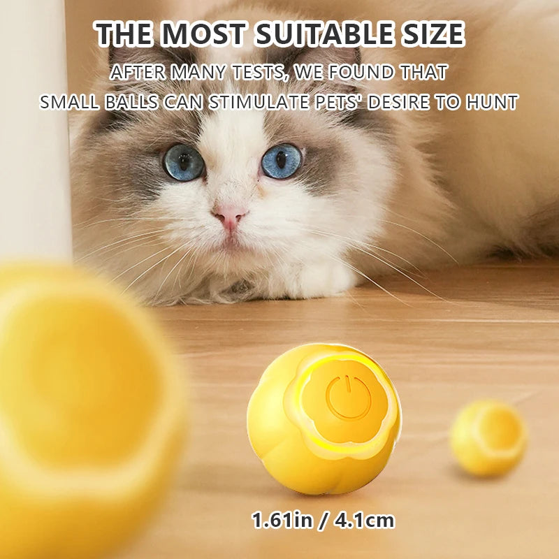 Smart Interactive Cat Toy Ball for Indoor Cats: Self-moving Kitten Magic Ball  petlums.com   