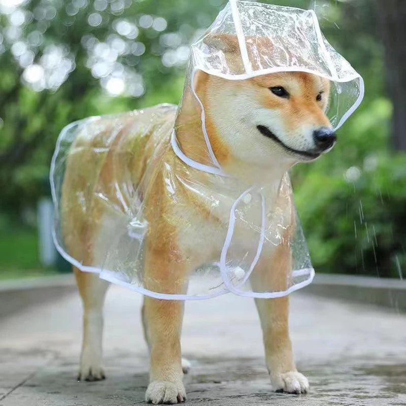 Pet Dog Transparent Rainwear Hooded Raincoat Waterproof Jacket for Small Dogs  My Store   