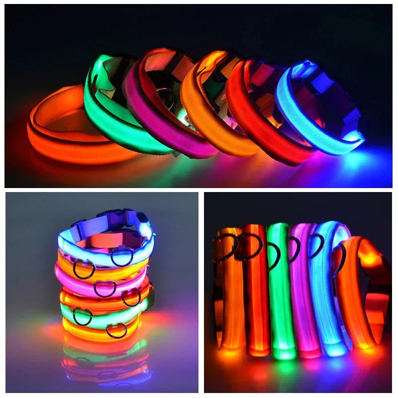 LED Dog Collar: Safety Night Light Flashing Necklace for Pet Visibility  PetLums   