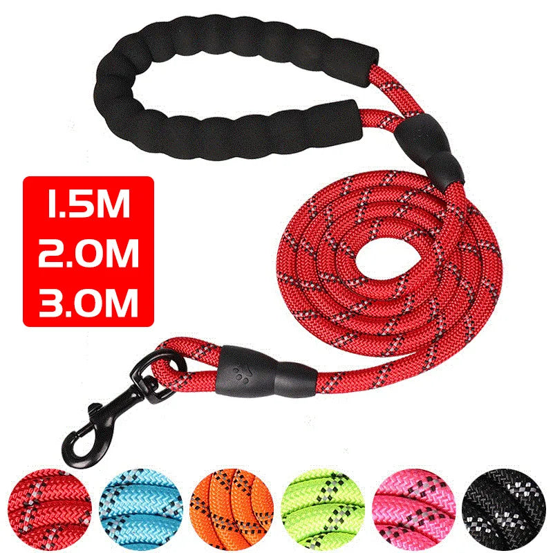 Reflective Strong Dog Leash for Small to Large Dogs: Night Visibility, Durable Nylon, Adjustable Length  petlums.com   
