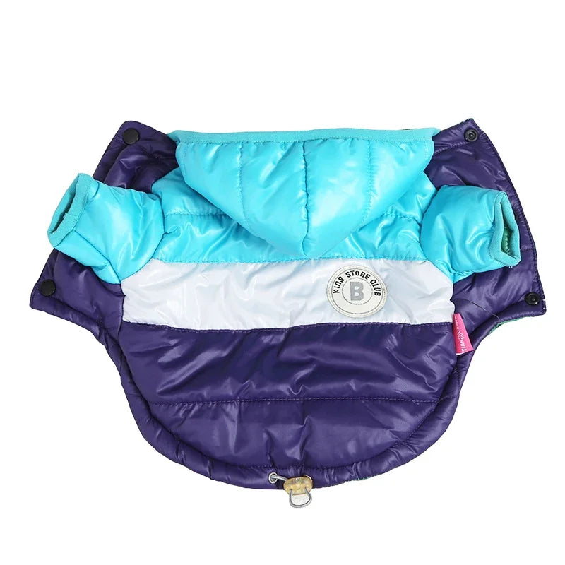 Winter Dog Down Jacket with Hoodies for Small Dogs - Waterproof & Warm Coat  petlums.com   