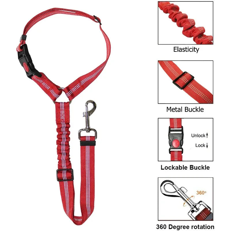 Dog Safety Belt: Professional Safety Leash for Cats and Dogs  petlums.com   