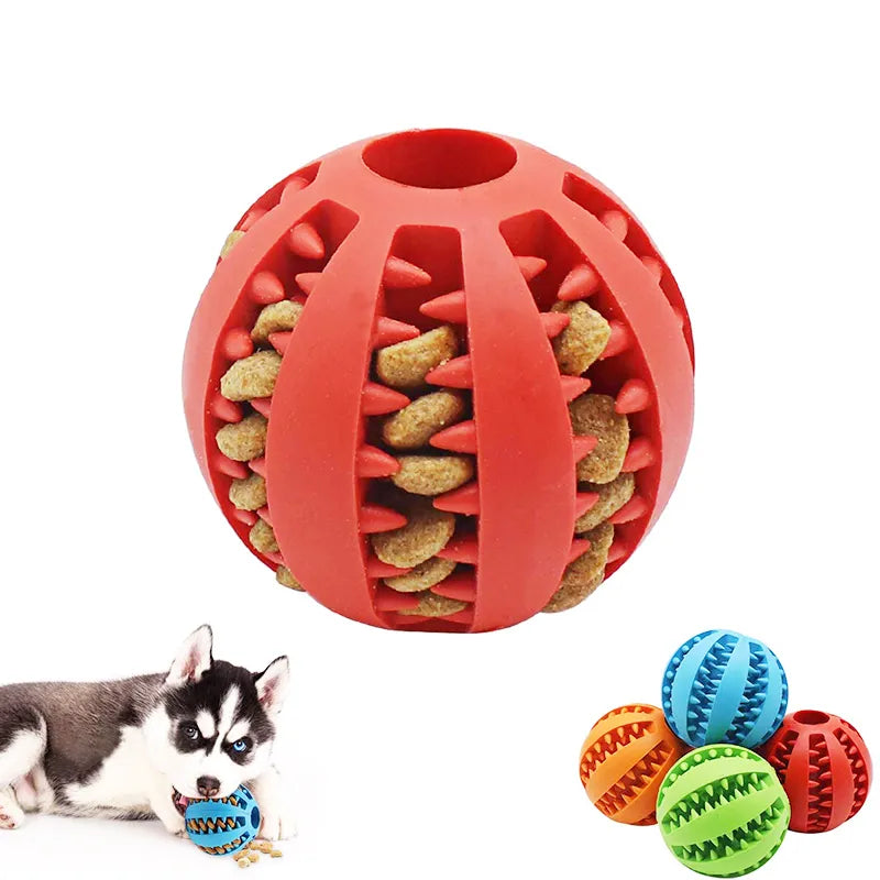 Dog Chew Toy Set: Rubber Teeth Cleaning Interactive Pet Ball Toy  PetLums   