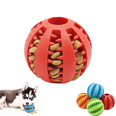 Dog Chew Toy for Small Dogs: Teeth Cleaning, Interactive, Durable, Promotes Dental Health