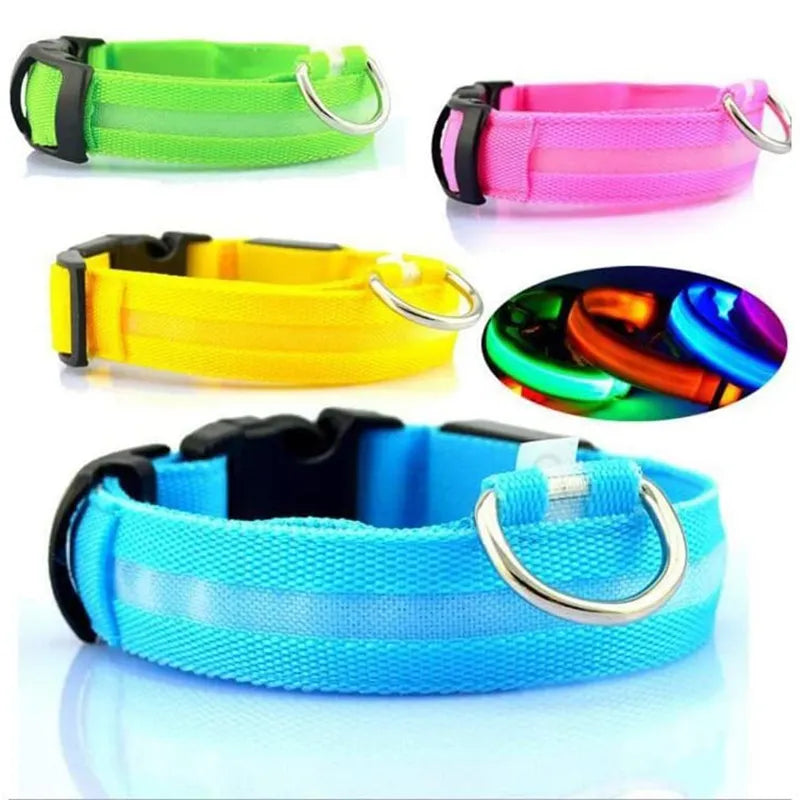 LED Glowing Dog Safety Collar: Visibility, Water-resistant, Rechargeable  PetLums   