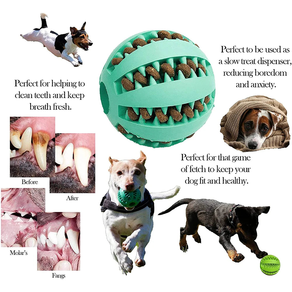 Interactive Rubber Dog Chew Toy for Pet Dental Health & Stress Relief  petlums.com   