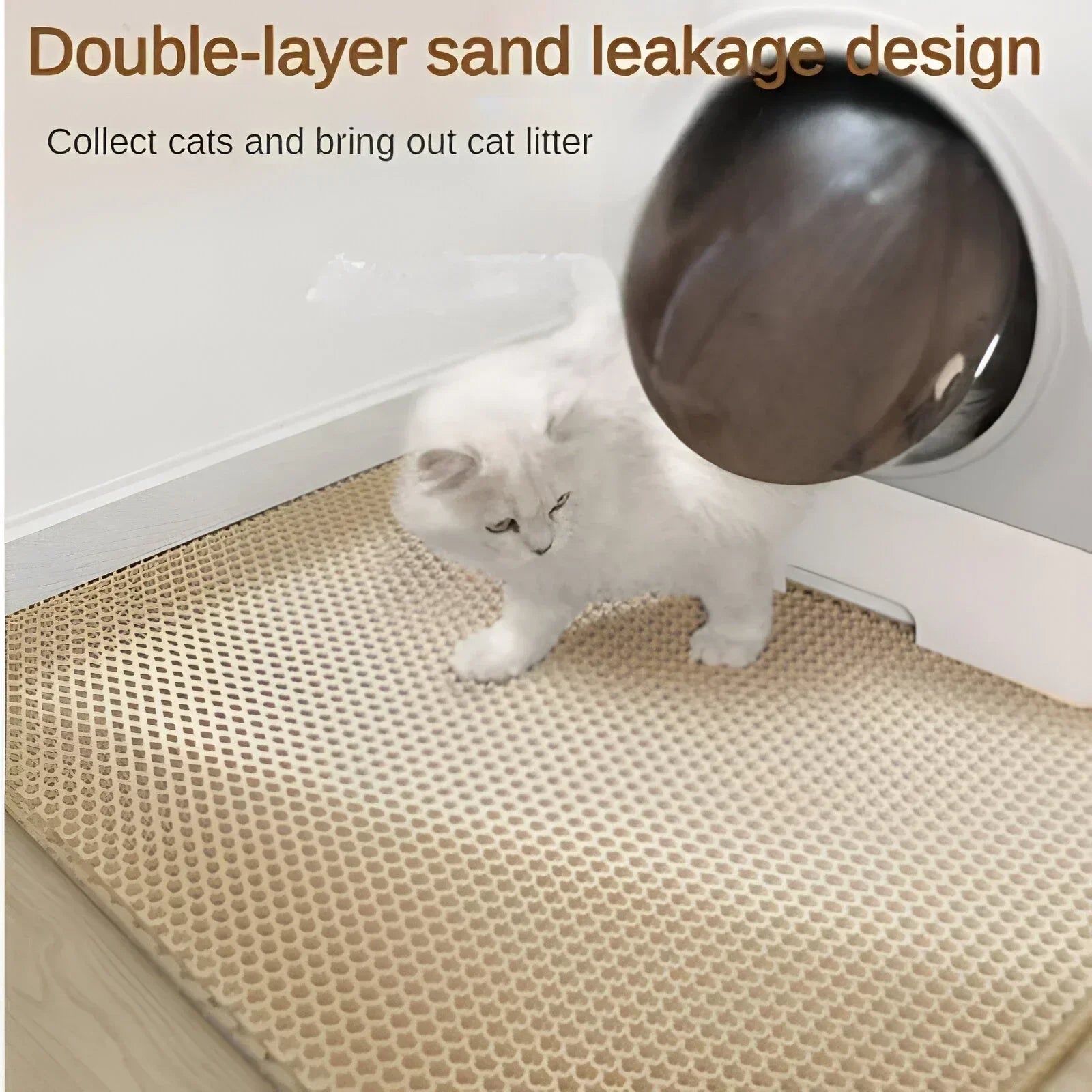 Cat Litter Mat: Double-layer Non-slip Filter Mat, Wear Resistant, Free Shipping  PetLums   