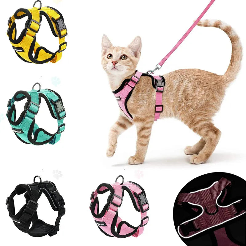 YOKEE Cat Harness & Leash Set: Comfortable Escape-Proof Vest for Small Cats  petlums.com   