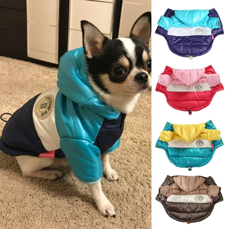 Winter Dog Down Jacket with Hoodies for Small Dogs - Waterproof & Warm Coat  petlums.com   