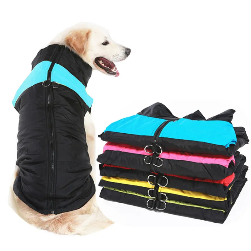 Golden Retriever Winter Dog Vest: Warm Waterproof Coat for Small to Large Dogs  petlums.com   