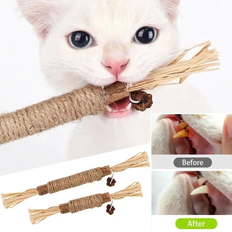 Catnip Chew Stick Toy for Cats - Organic Snack for Teeth Cleaning & Play Time  My Store   