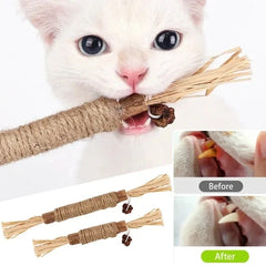 Catnip Chew Stick Toy for Cats - Organic Snack for Teeth Cleaning & Play Time