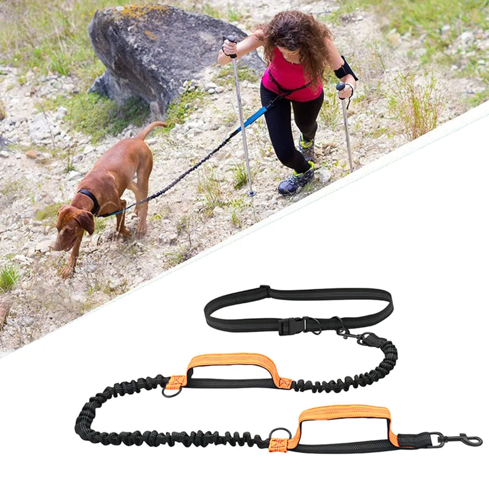 Retractable Hands-Free Running Dog Leash with Reflective Elastic Cord  petlums.com   