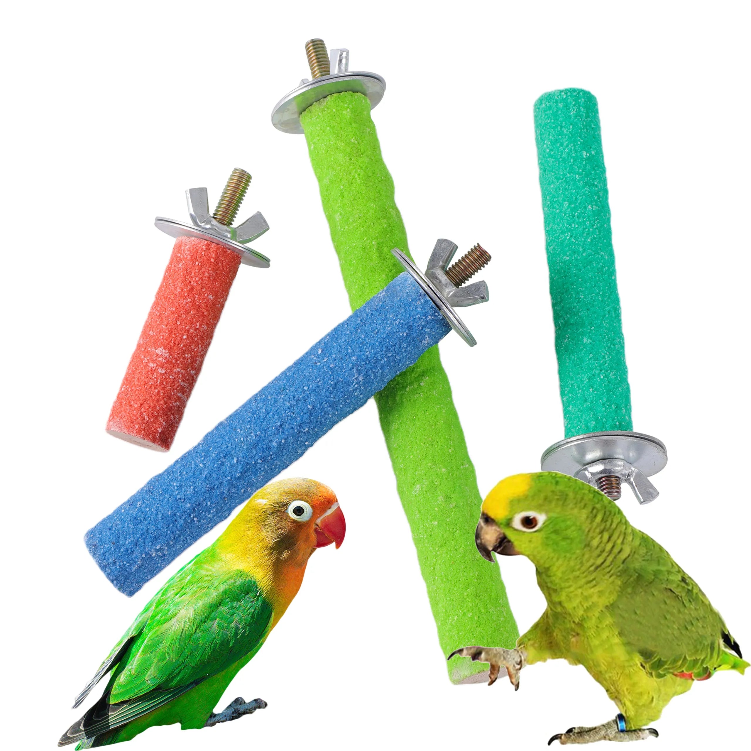 Parrot Perching Station: Interactive Bird Cage Toy for Entertainment  petlums.com   