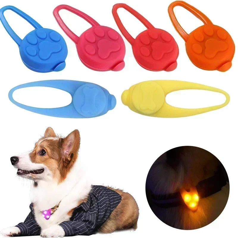 Glowing LED Pet Collar: Bright Night Safety Necklace with Flash Modes  petlums.com   