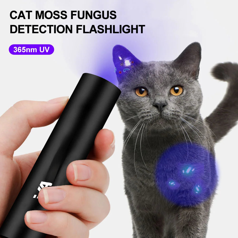 USB Rechargeable 365nm UV Flashlight Ultraviolet Lamp Torch Black Light Pet Moss Detector For Cat Dog Stains Bed Bug Moldy Food  petlums.com   
