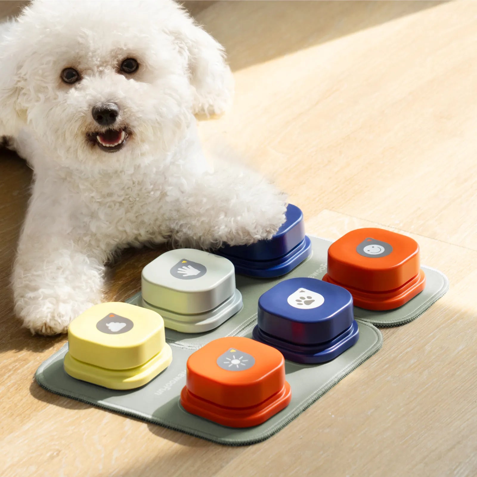 MEWOOFUN Dog Communication Training Toy: Teach, Train, Interact with Your Pet  petlums.com   