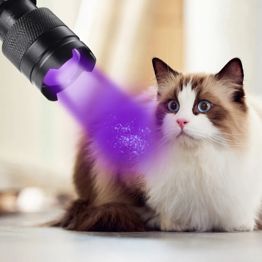 UV LED Mini Zoomable Inspection Torch for Pet Stain Detection  petlums.com   