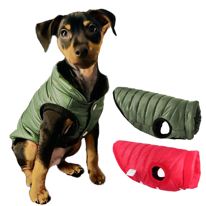 Pet Winter Jacket: Cozy Dog Coat for French Bulldog Chihuahua Pug Yorkie  petlums.com   