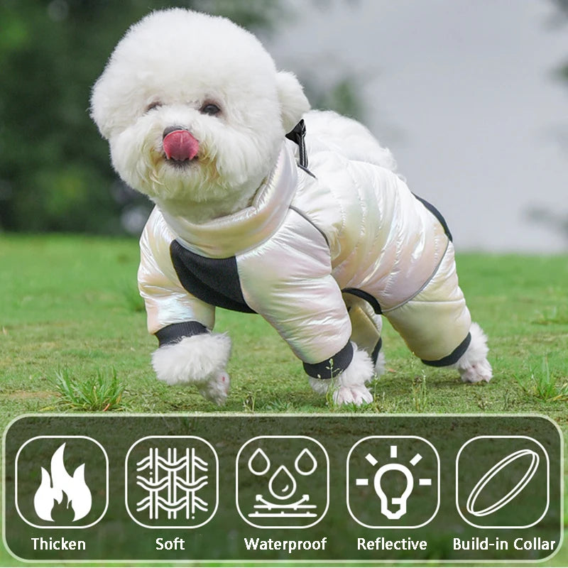 Winter Dog Down Jacket: Stylish & Functional Waterproof Pet Coat for French Bulldog  petlums.com   