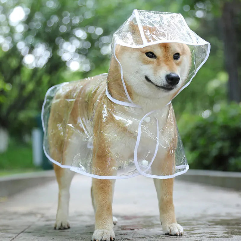 Pet Dog Transparent Rainwear Hooded Raincoat Waterproof Jacket for Small Dogs  PetLums   