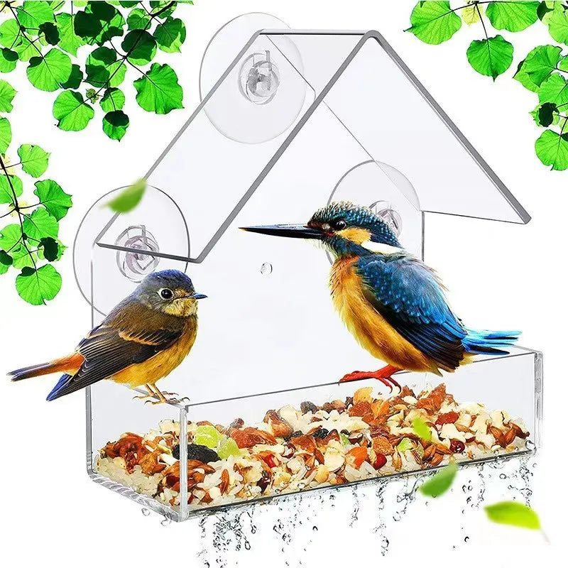 Transparent Bird Feeder House Suction Cup Window Hummingbird Gazebo  petlums.com   