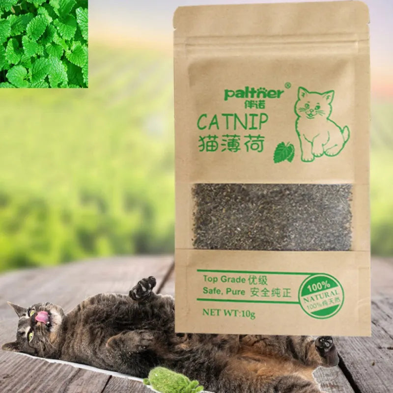 Natural Catnip Cattle Grass Menthol Flavor Cat Toy for Healthy Cats  petlums.com   