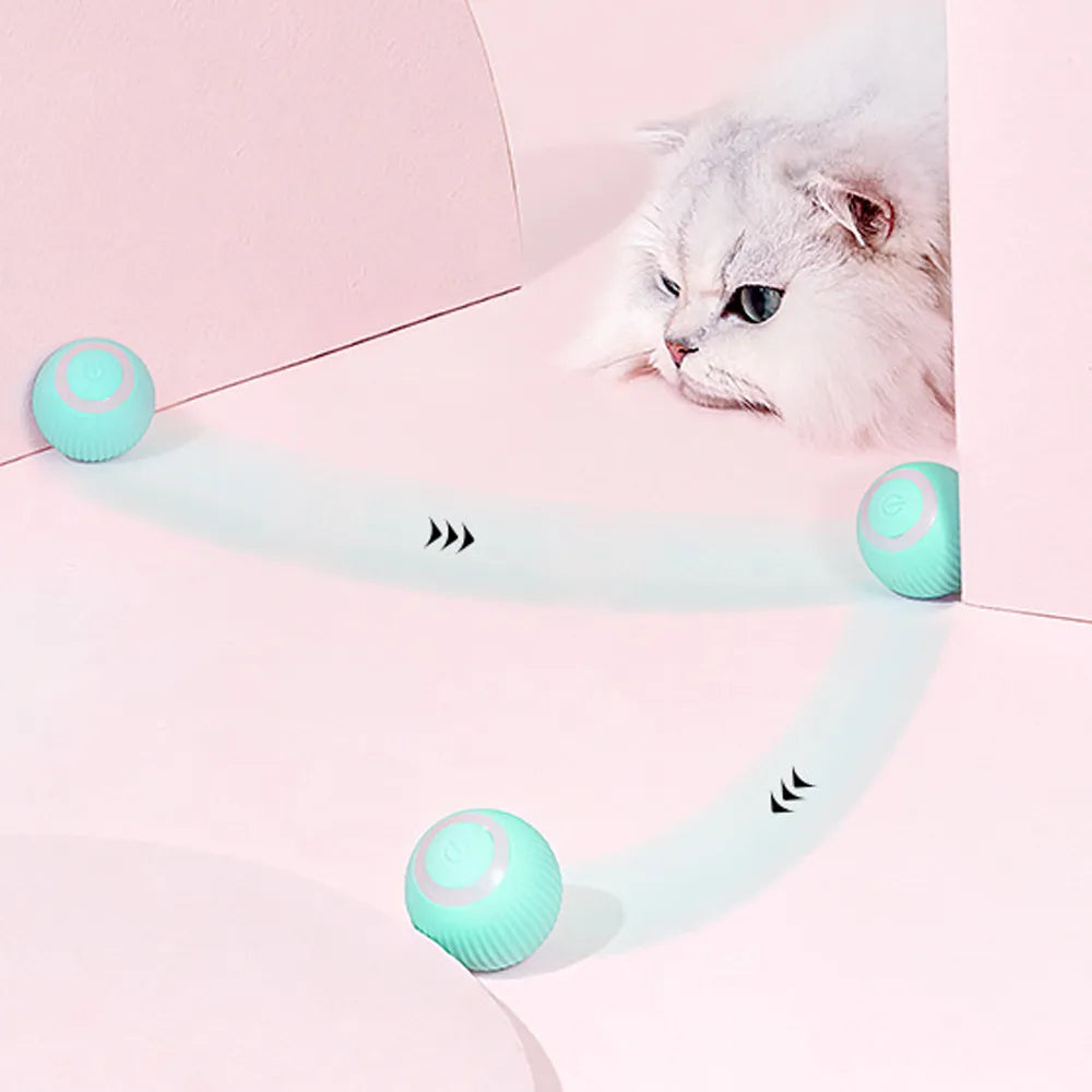 Interactive Electric Cat Toy - Self-Rolling Balls For Fun Training  petlums.com   