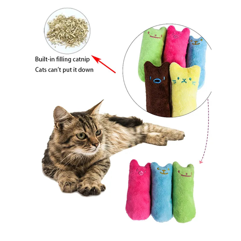 Catnip Molar Cat Toy with Mint Kitten Claws: Interactive Plush Fun Chew Toy  petlums.com   