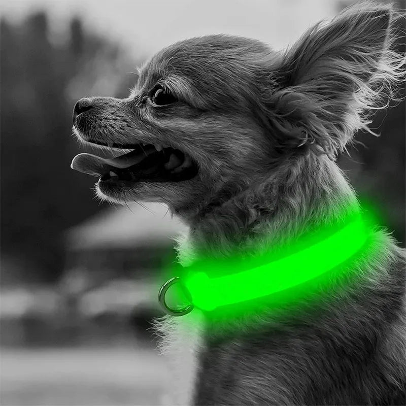 LED Glow Safety Dog Collar: Adjustable Flashing Necklace for Dogs and Cats  petlums.com   