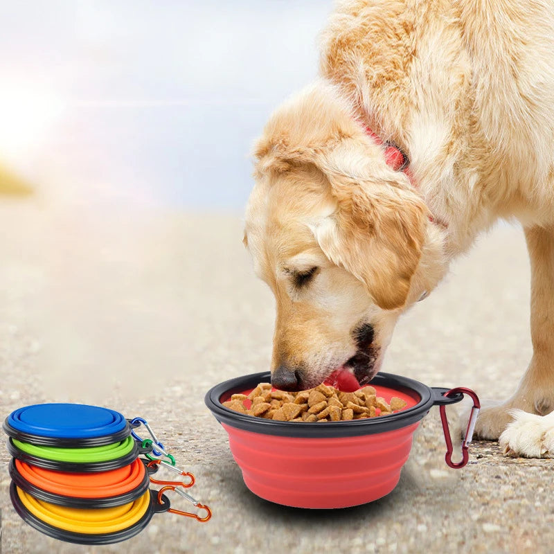 Collapsible Silicone Dog Bowl - Portable Outdoor Pet Feeder  petlums.com   