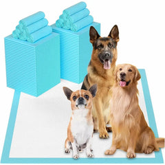 Super Absorbent Pet Diaper Training Pee Pads: Ultimate Leak-Proof Protection & Quick-Dry Surface