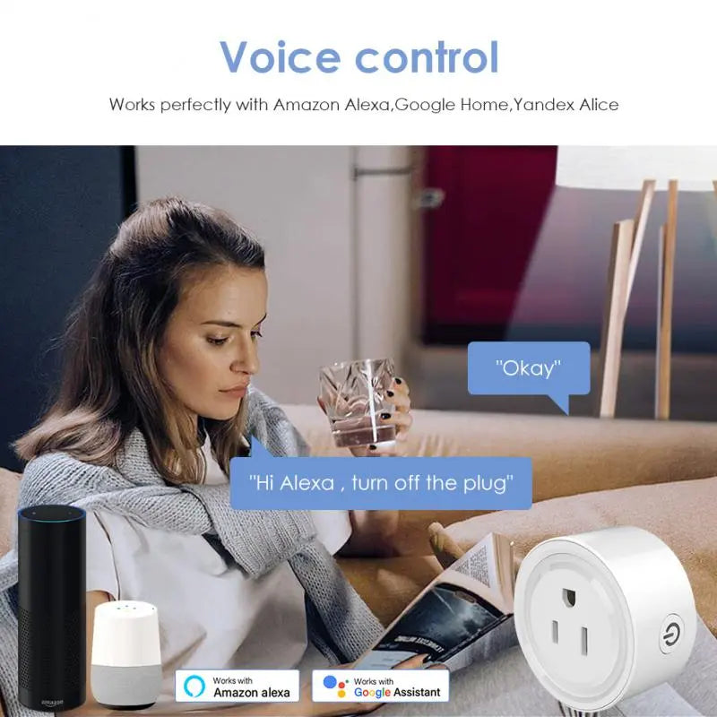 Smart WiFi Plug: Remote Control for Smart Home, Alexa Google Home Compatibility  petlums.com   