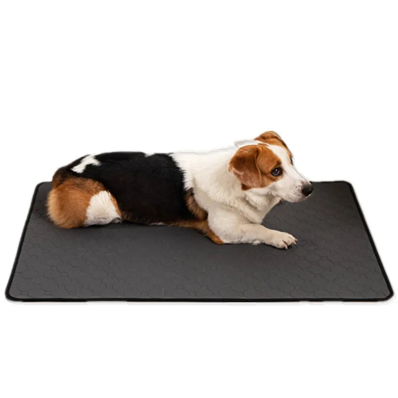 Dog Diaper Mat: Waterproof Reusable Training Pad & Car Seat Cover  petlums.com   