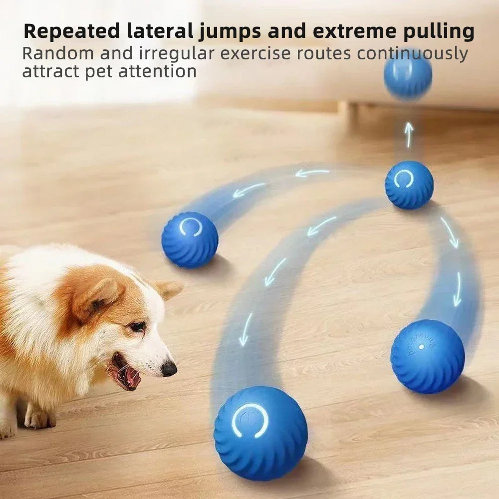 Interactive Smart Dog Toy Ball: Engaging USB Moving Bouncing Pet Fun  petlums.com   