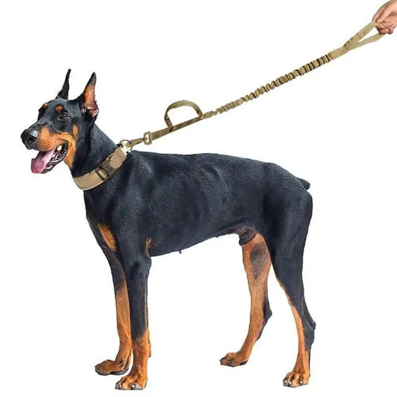 Military Tactical Dog Collar with Durable Nylon Lead & Breakaway Leash  petlums.com   