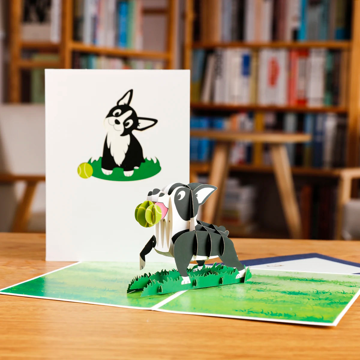 3D Animals Pop-up Cards: Butterflies, Unicorns, Cats & Dogs Gift  petlums.com   
