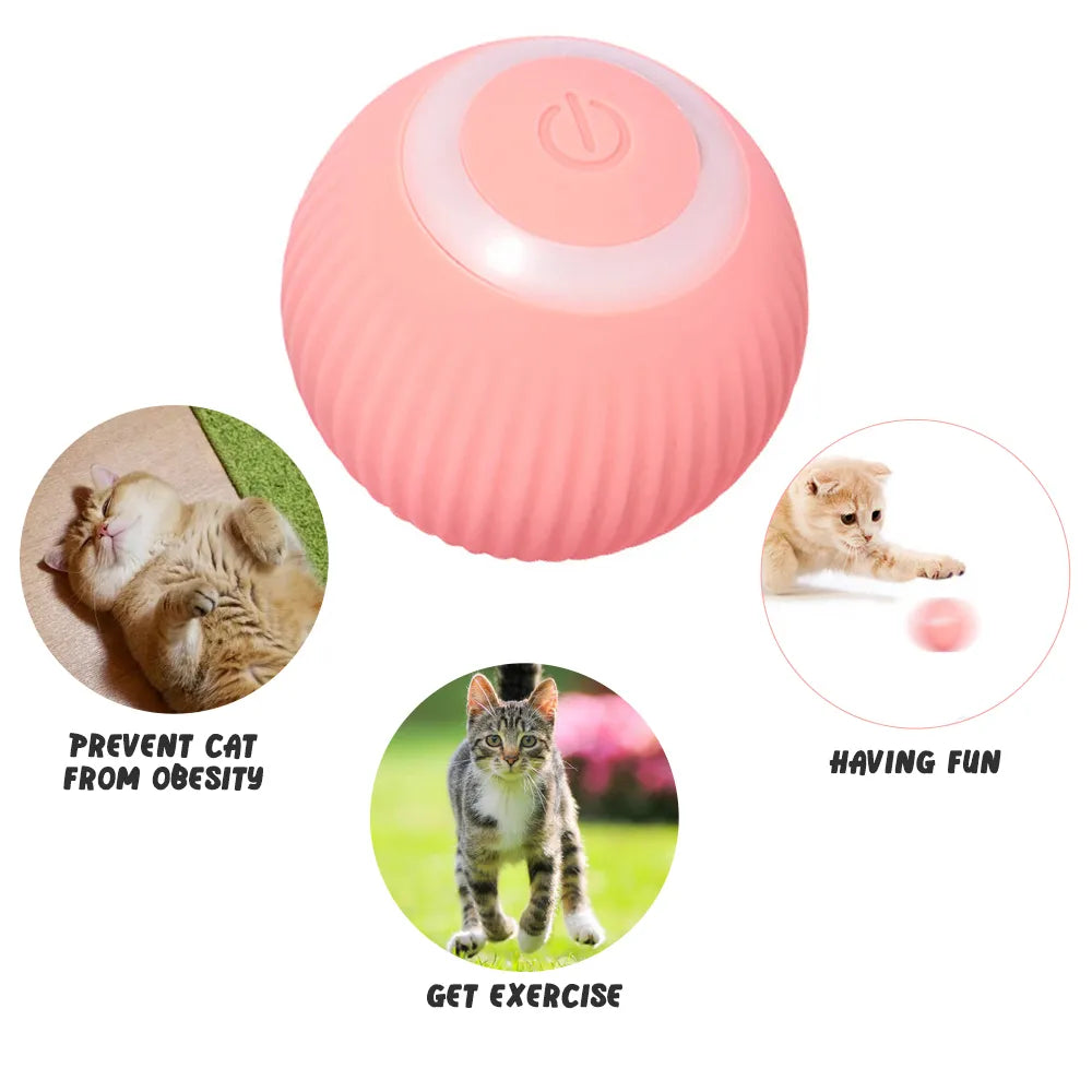 Electric Rolling Ball Cat Toy for Interactive Indoor Play  petlums.com   