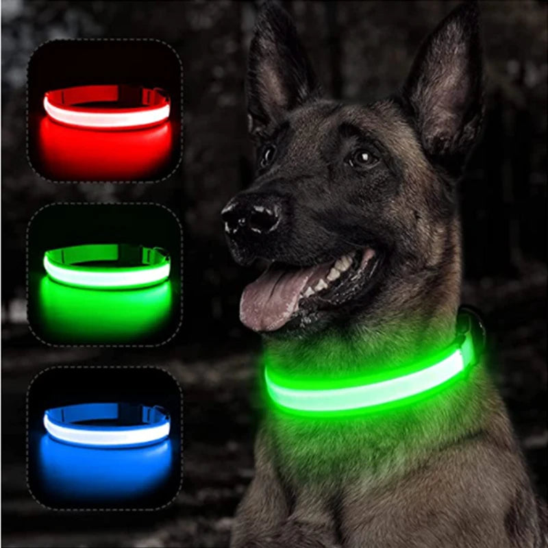 LED Light Up Dog Collar: Customizable Night Safety, Waterproof, Multiple Flash Modes  petlums.com   