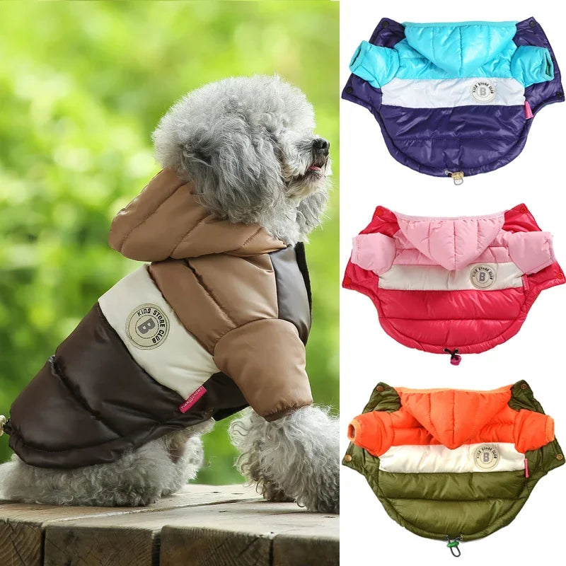 Cozy Cotton Winter Dog Jacket: Stylish Waterproof Coat for Small to Medium Breeds  petlums.com   