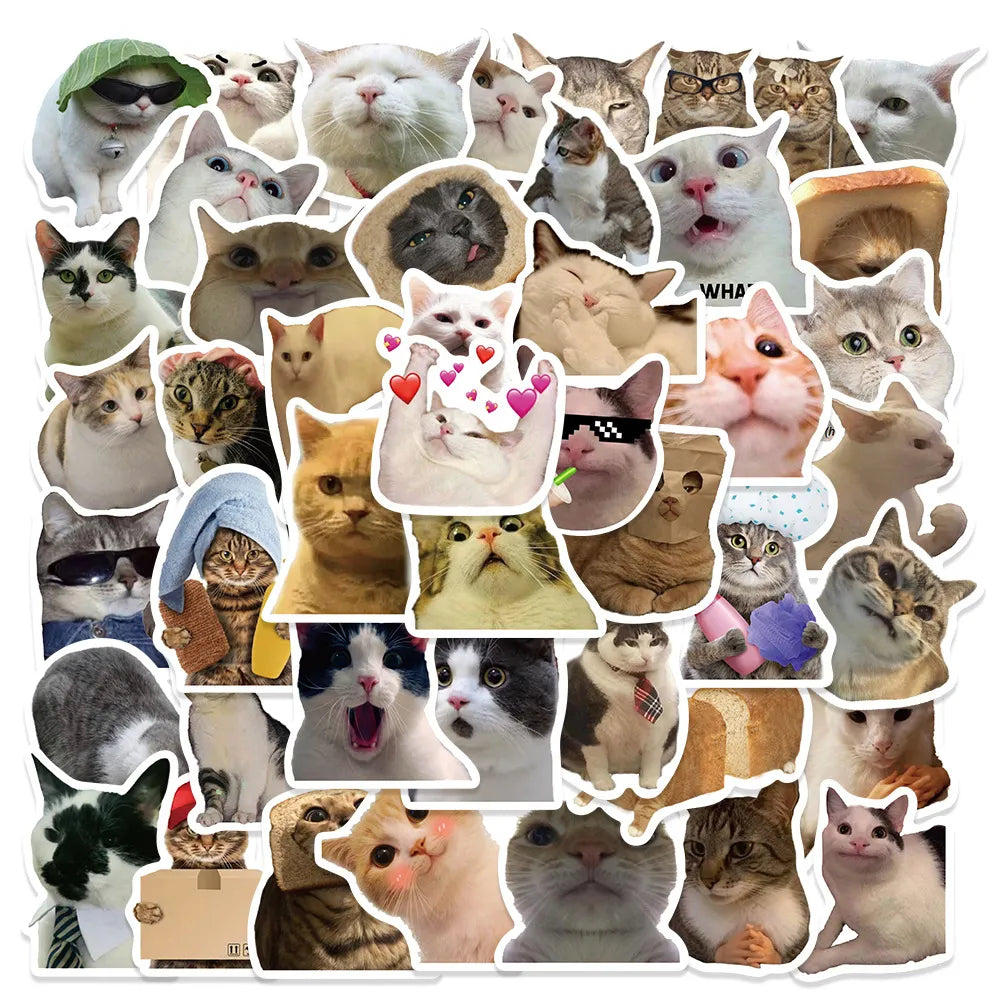 Funny Cat MEME Stickers Pack: Vibrant DIY Decals for Kids and Gadgets  petlums.com 10pcs Cat MEME  
