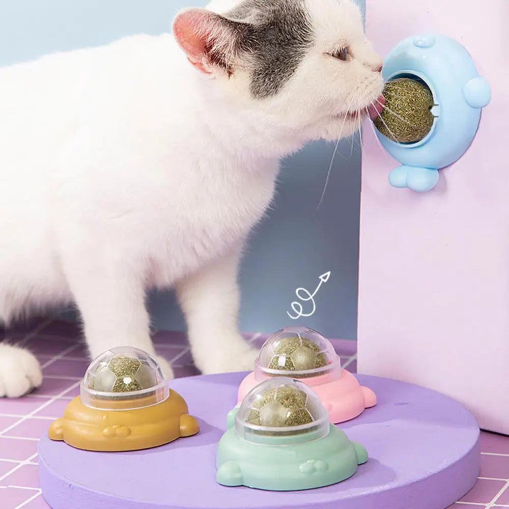 Catnip Wall Ball Toy: Natural Teeth Cleaning and Snack Delight  PetLums   