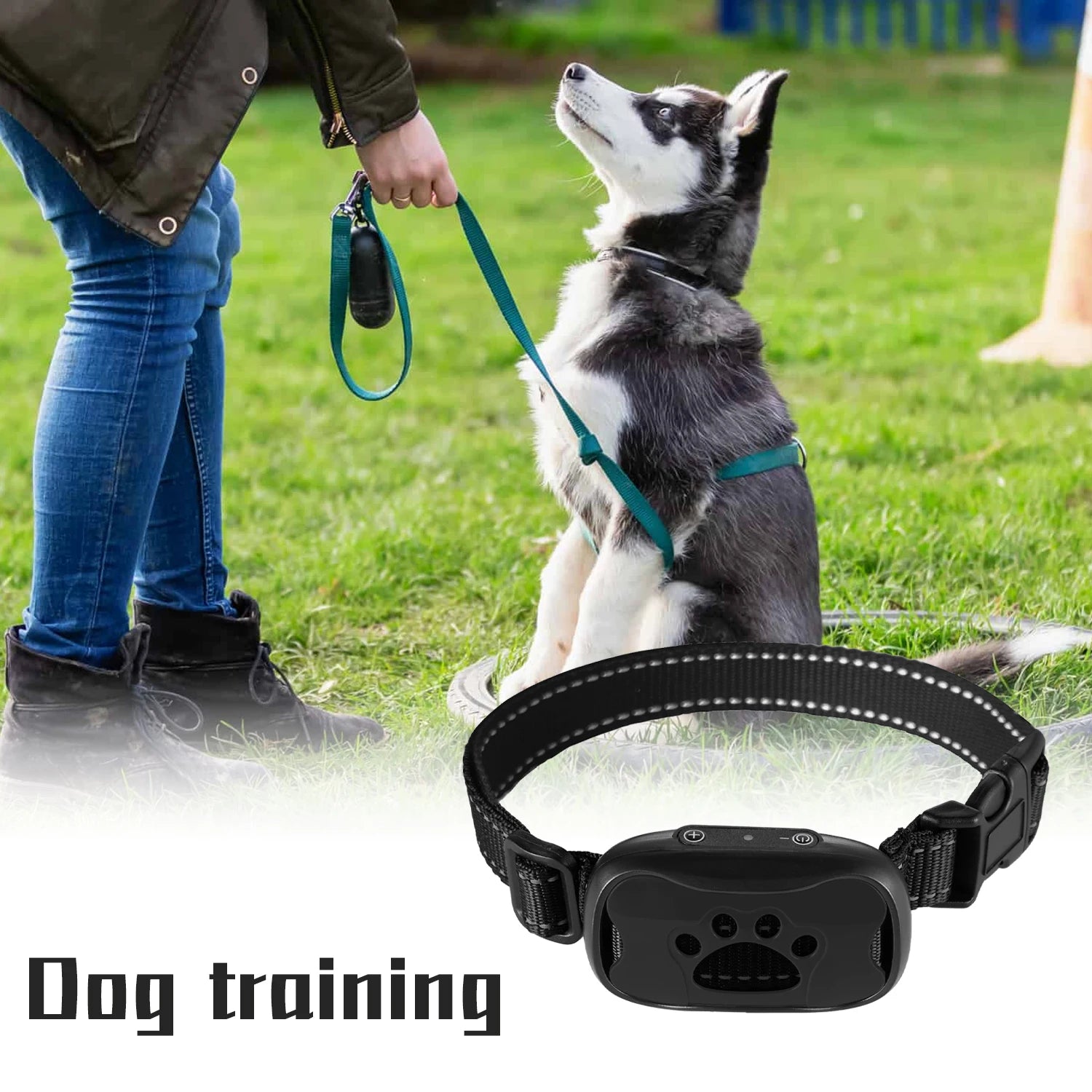 Electric Dogs Training Collar: Advanced Bark Control & Waterproof Design  petlums.com   